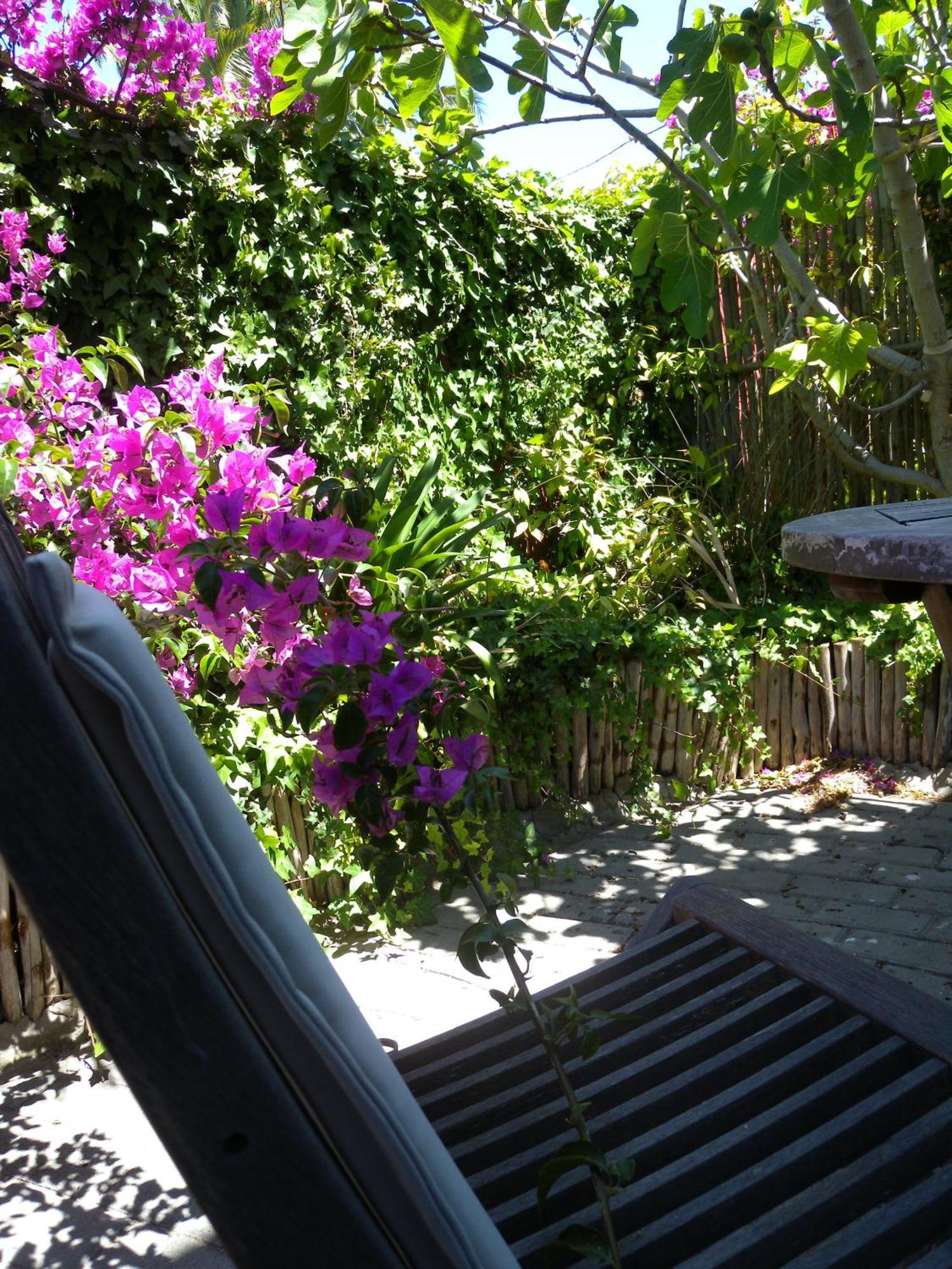 Capetown 4U Guesthouse Bloubergstrand Zewnętrze zdjęcie